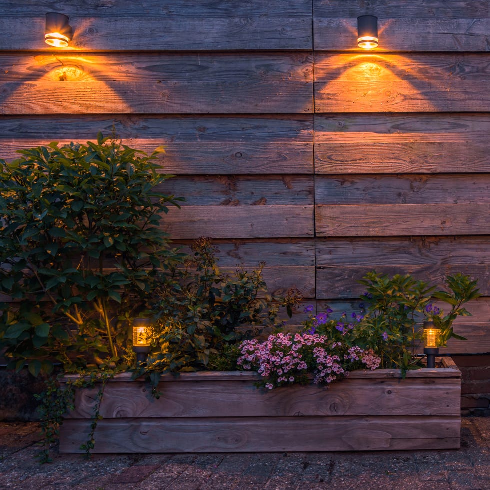 solar powered outdoor lighting illuminating a garden with flowers and plants.