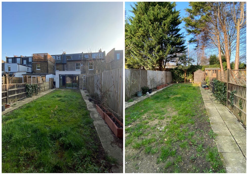woodland style garden in chiswick