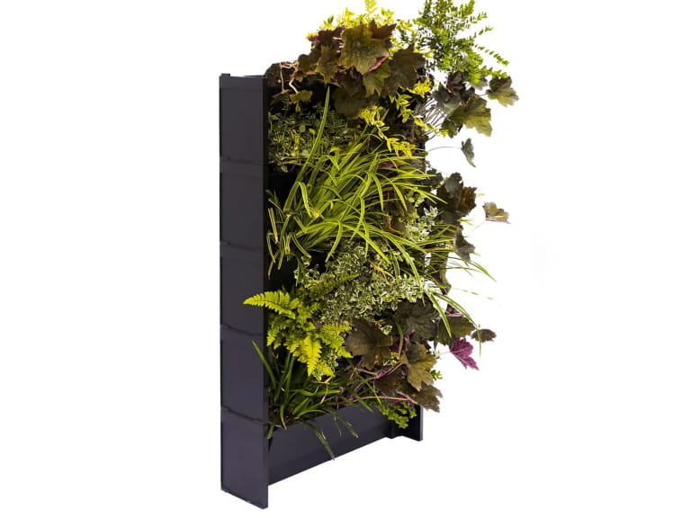 A vertical wall planter containing herbs and leaves