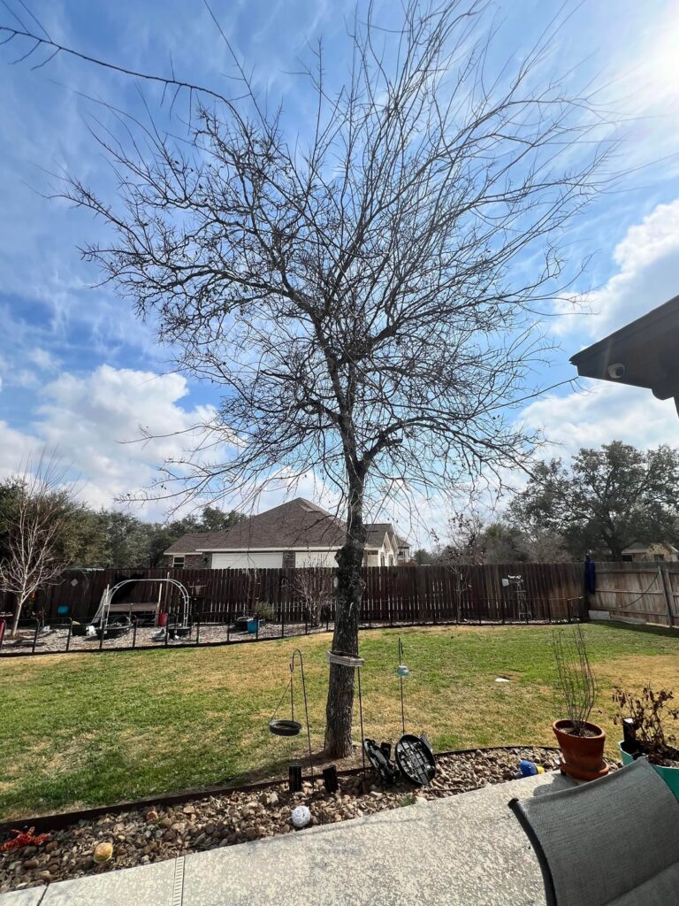 Is she ok? Is she ok?