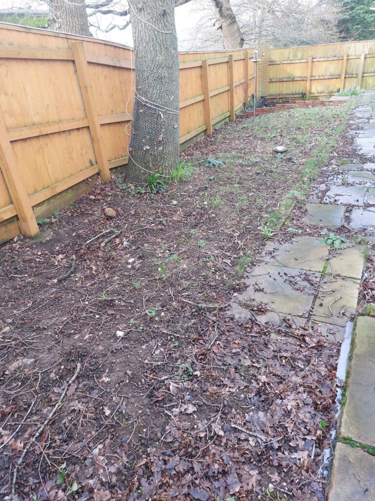 What ideas do you have for this bit of land?