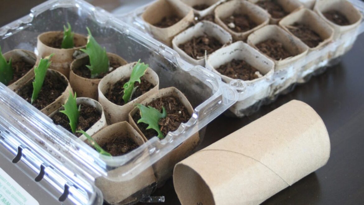 Use these tips, resources to garden inexpensively in Monroe County