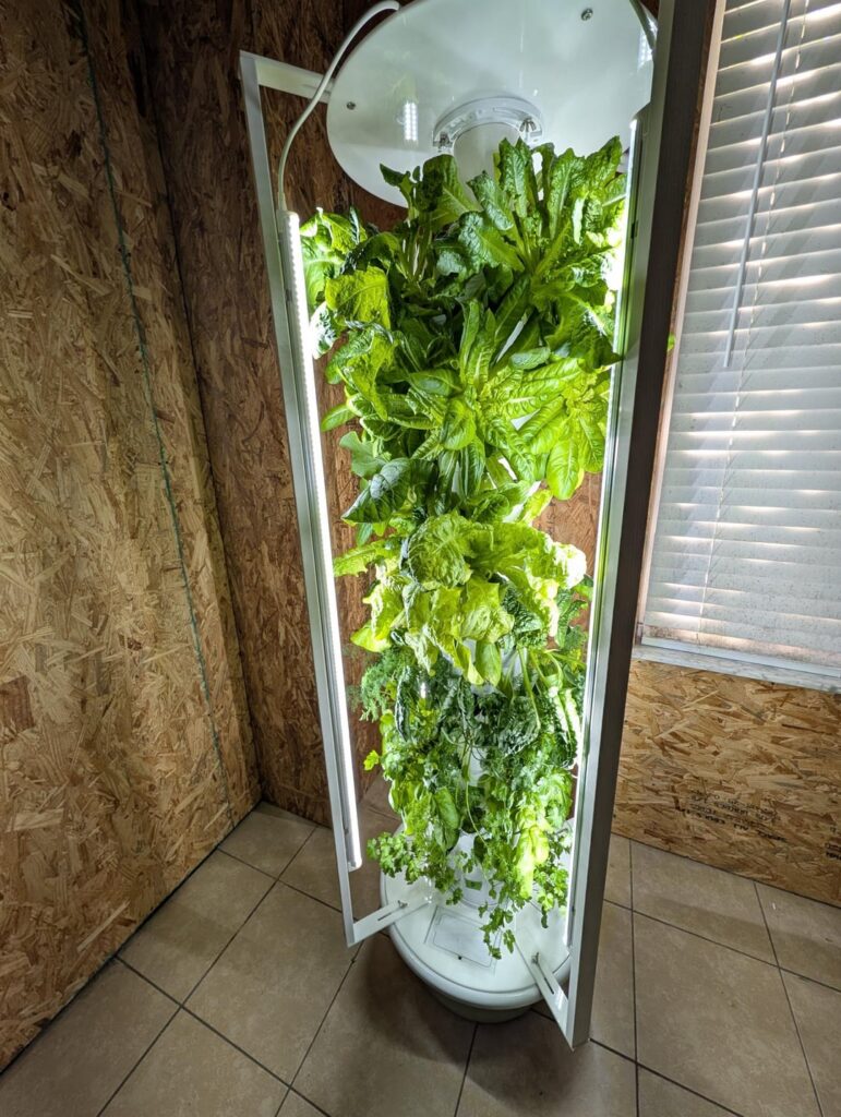 First round in the tower