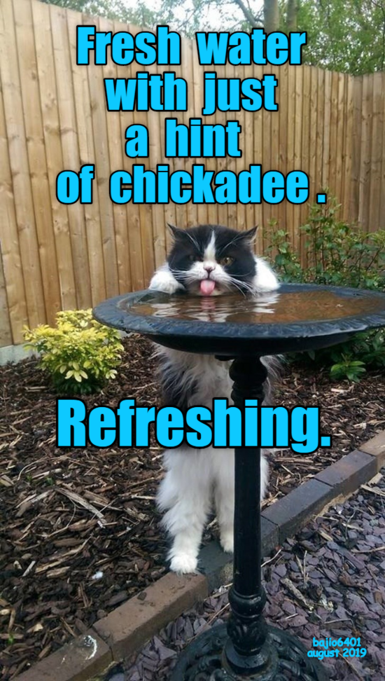 gits-my-favorite-watering-hole.png gits-my-favorite-watering-hole.png