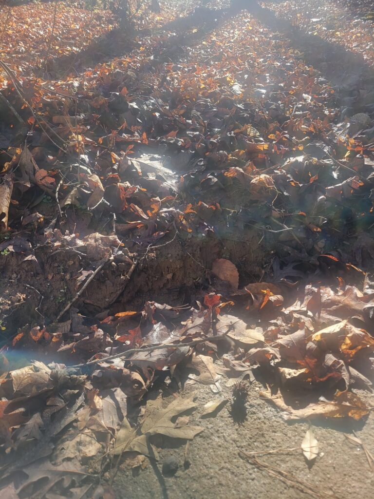 ANY ideas for this? ANY ideas for this?