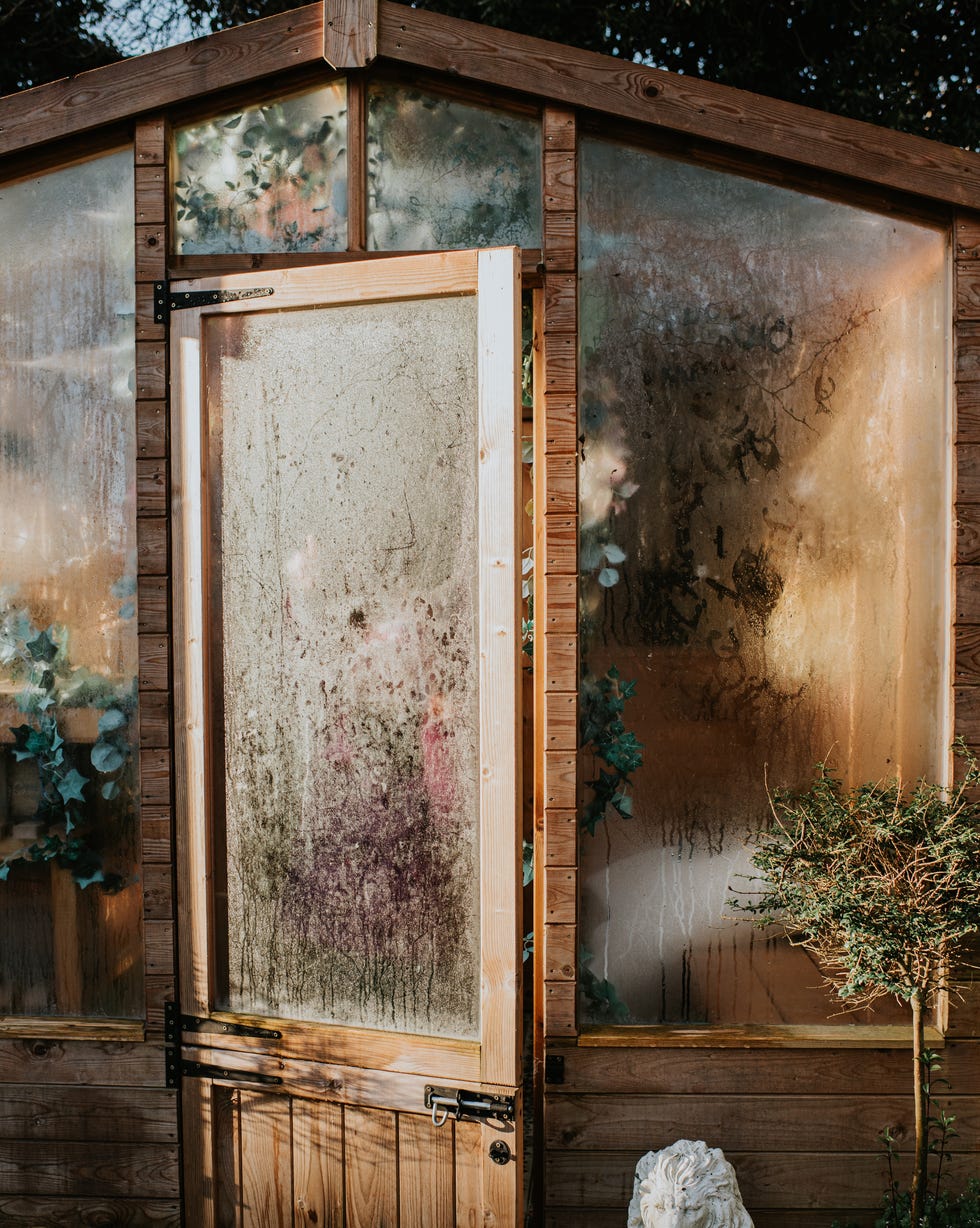close up of an open greenhouse door reflecting warm, low winter light. the window is covered in condensation.