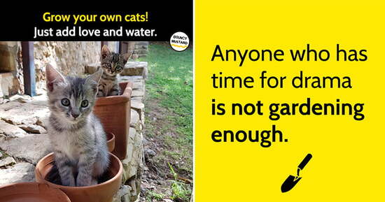 gshare-gardening-memes-funny.jpg gshare-gardening-memes-funny.jpg