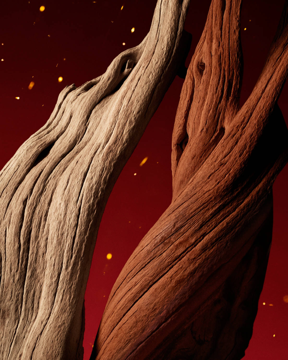 The Alchemist’s Garden: The Next Luxe Evolution