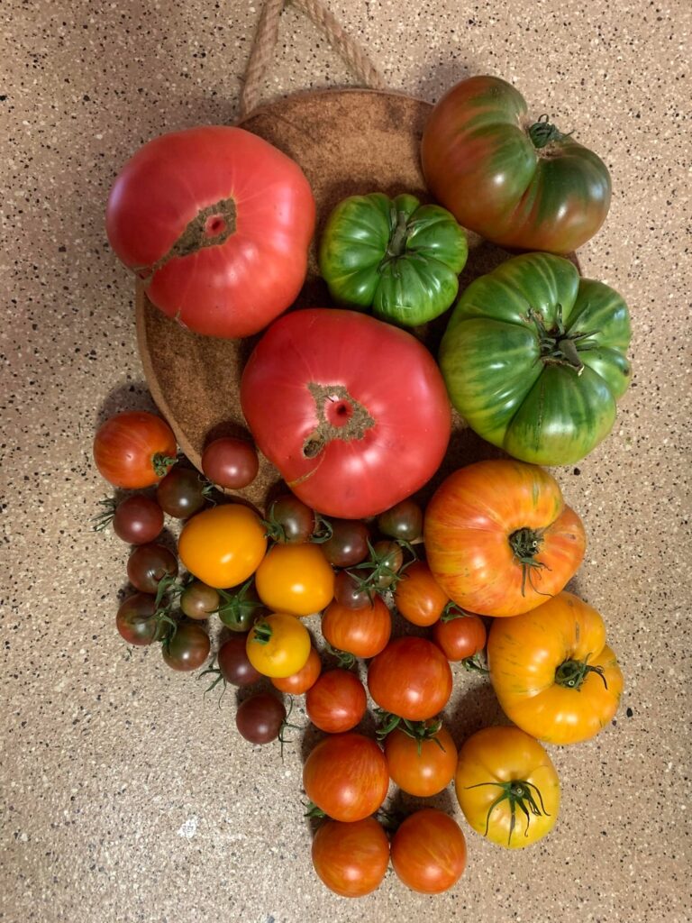 A nice little harvest just in time for dinner!