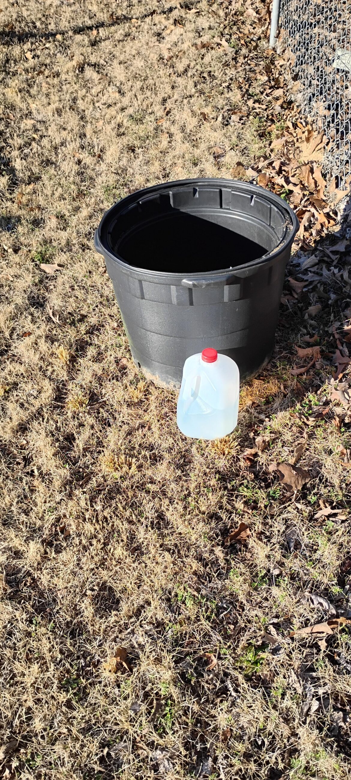 How many carrots could I grow in this?