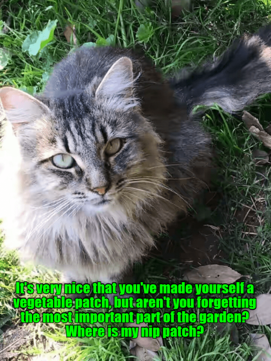 gwhat-sort-of-gardener-are-you.png gwhat-sort-of-gardener-are-you.png