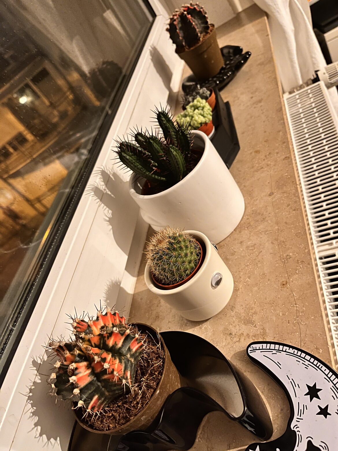 Went to a plant auction today, told myself I was only gonna get a single one. Oops.