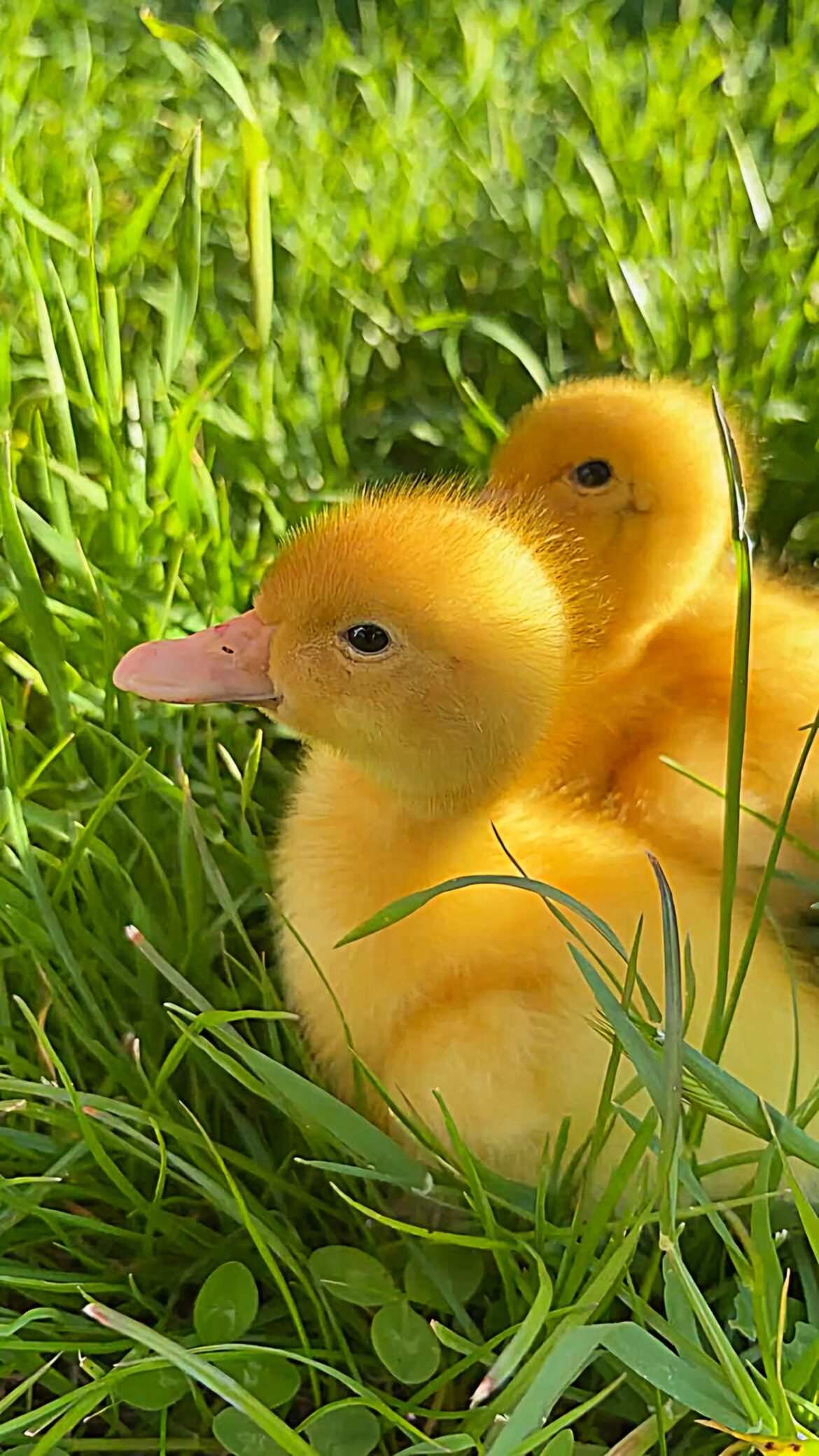 Nature is beautiful ❤️