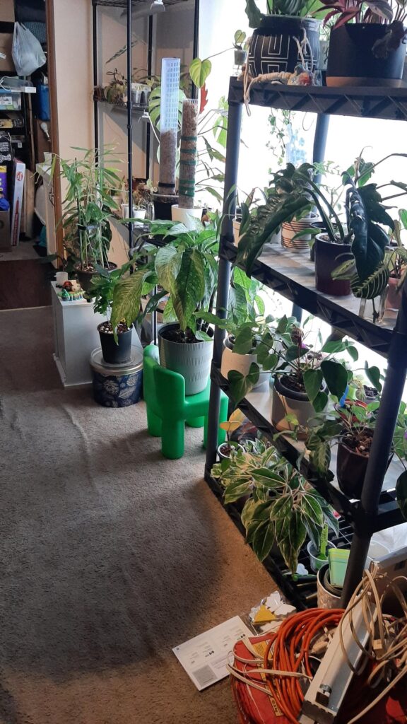 Help! Losing my passion