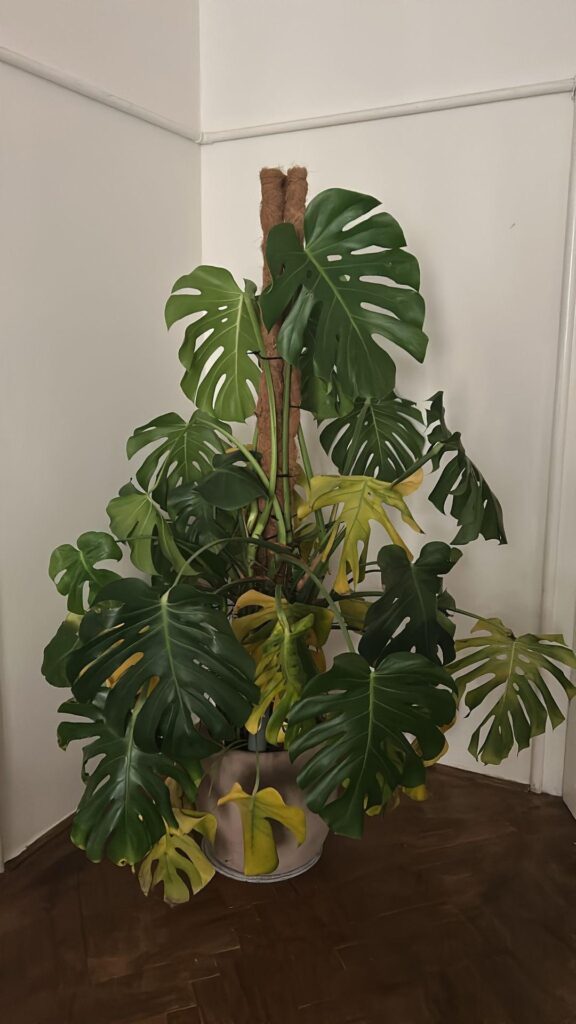 In Need of Help