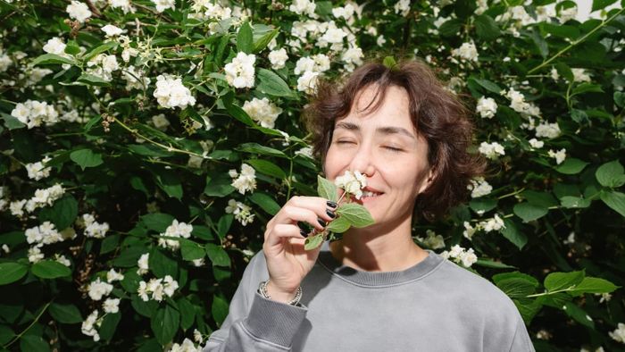 How to fill small gardens with winter fragrance Google Play Button