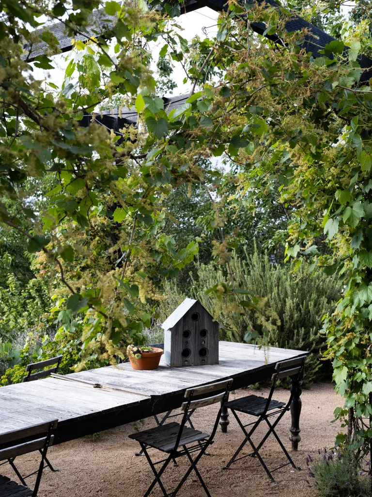 A table beneath a leafy pergola