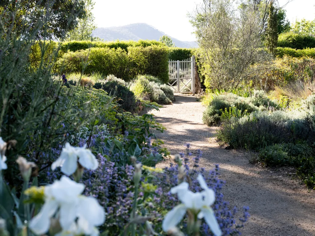 Plants line the entry to Highfield Gardens