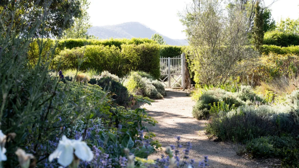 A Colourful, Layered Garden In The Blue Mountains. NSW
