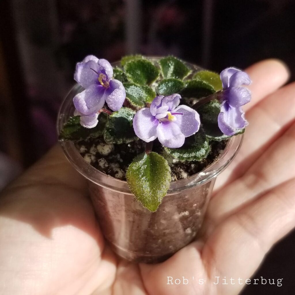 🔮Lost and found🙈🔮