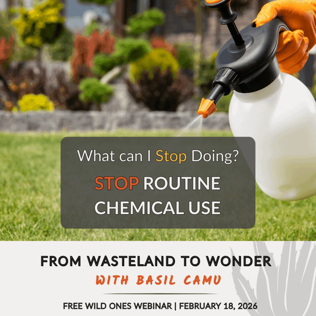 Free Wild Ones Webinar - February 18, 2026