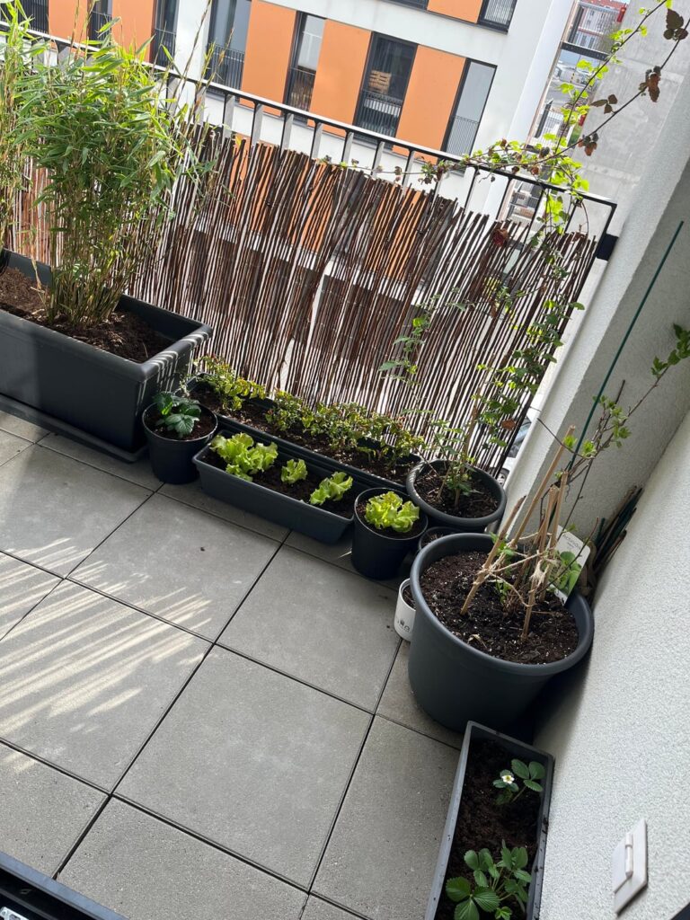 Preparing balcony for next season