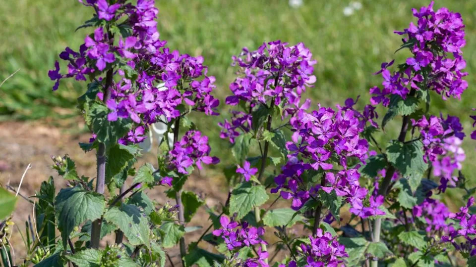 Image Credit: Deposit Photos