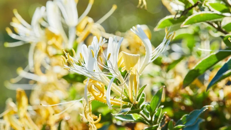 Image Credit: Deposit Photos