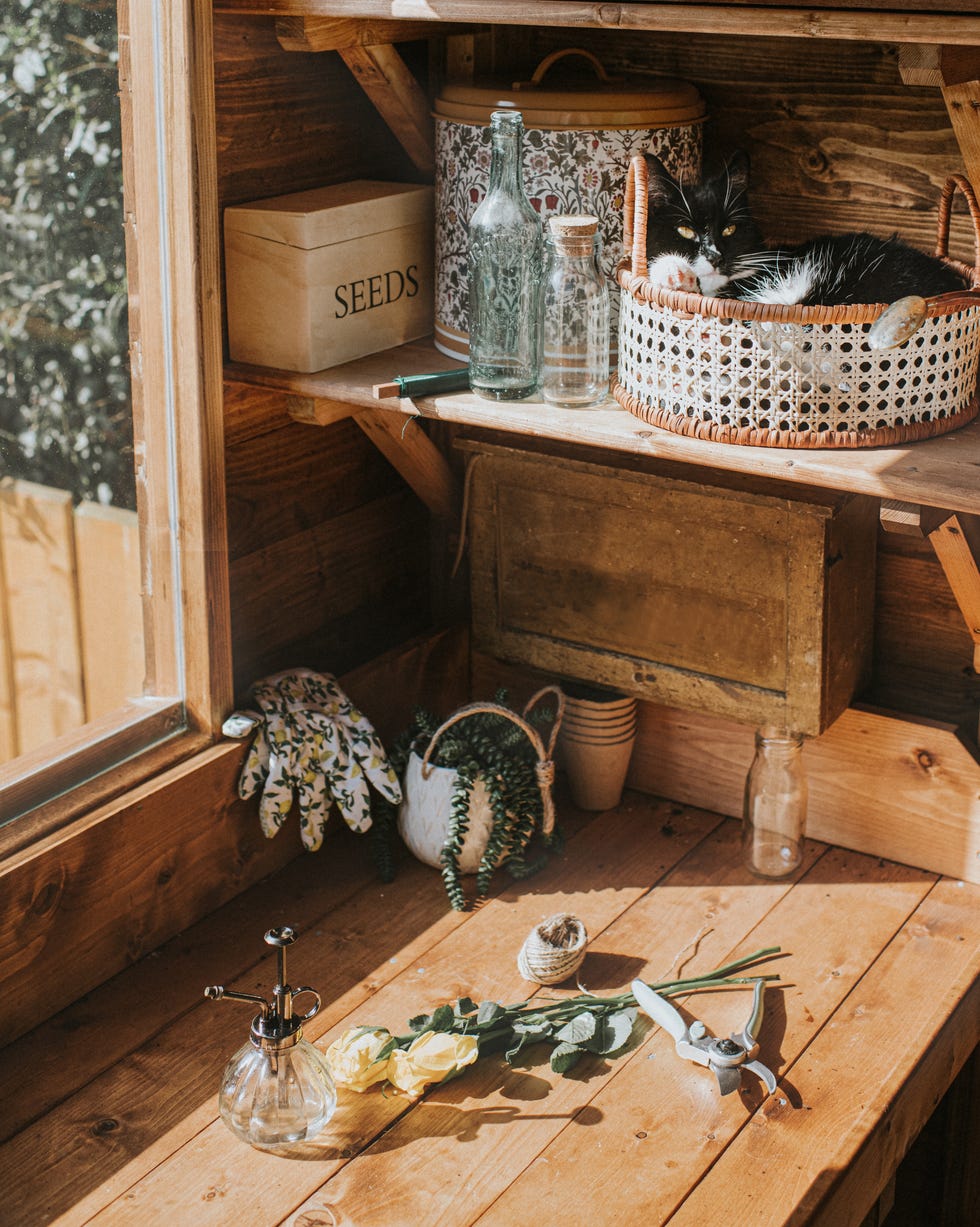 Inside of a garden shed inside of a garden shed