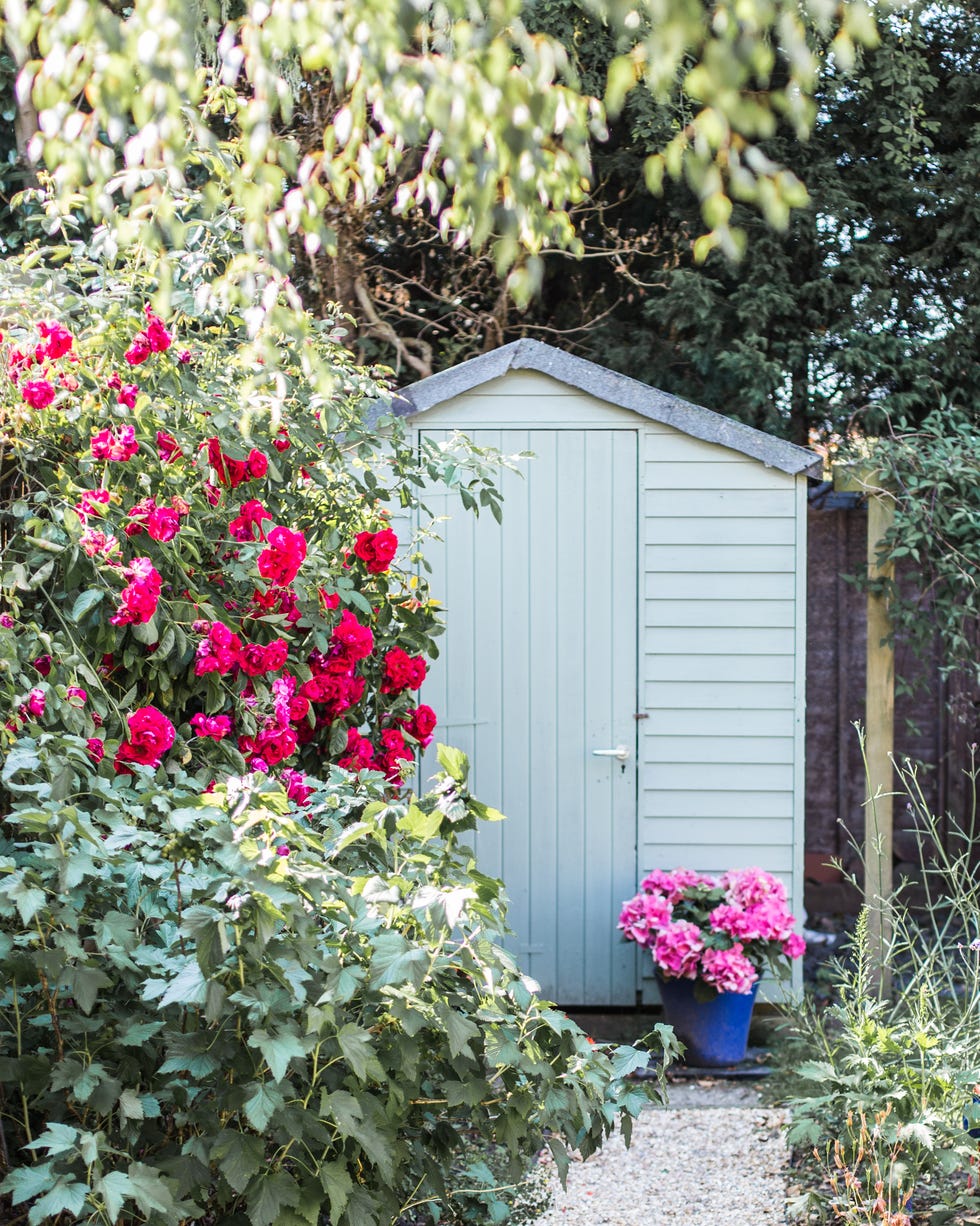 Garden shed surrounded by flowers garden shed surrounded by flowers