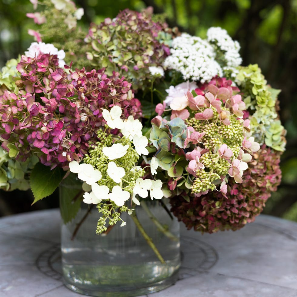 dry hydrangeas arranged in a vase