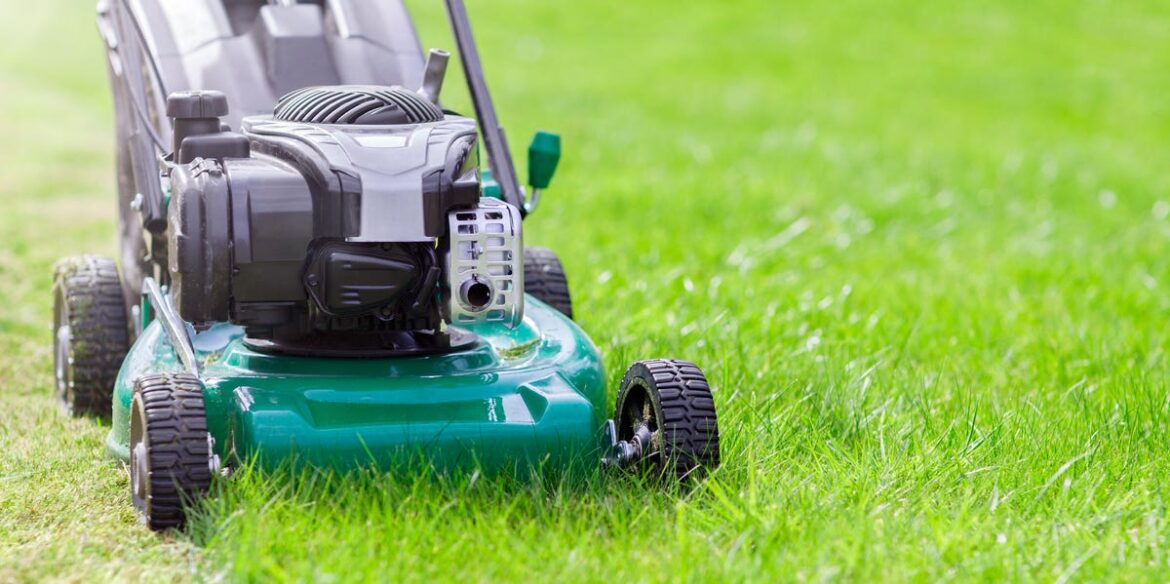 What To Know Before You Cut