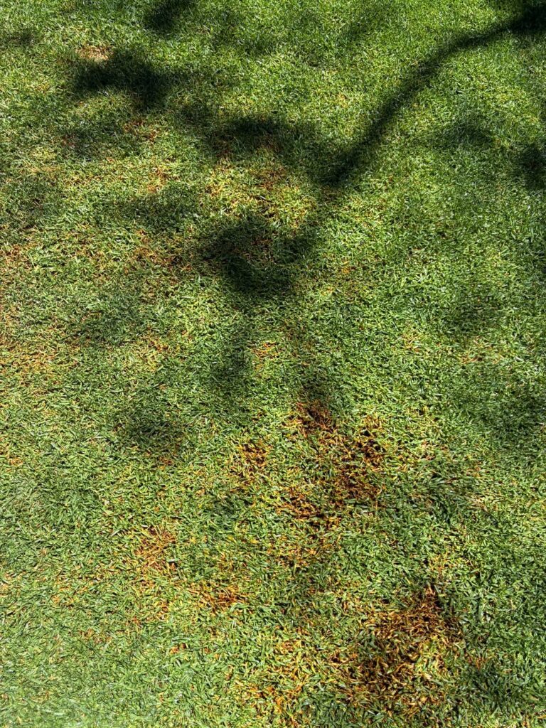 Is this anything more than just having taken too much off?