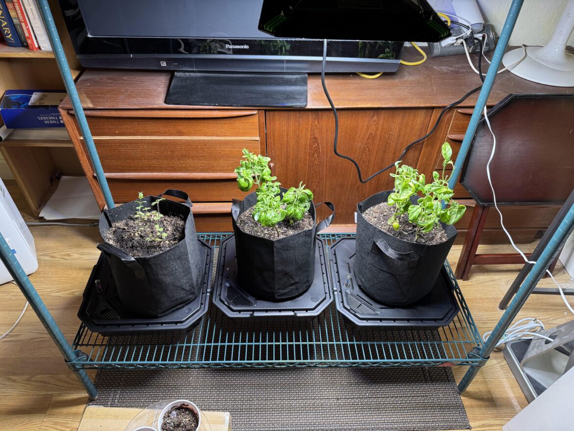 Trying to dial in my indoor herb garden