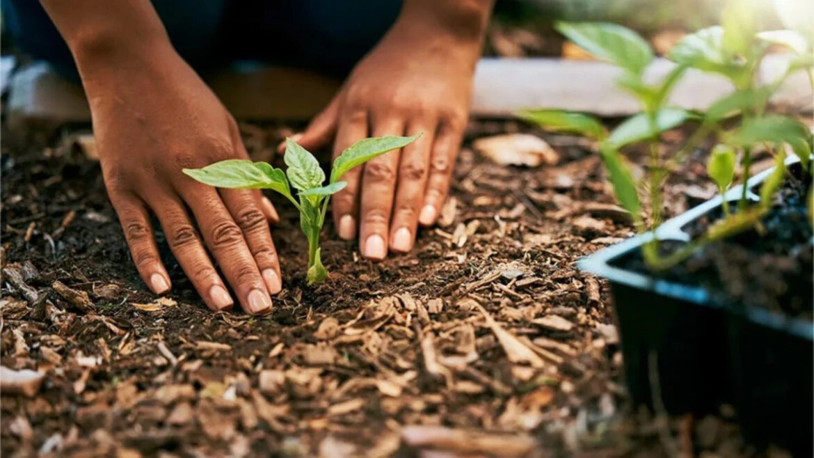 Hold off planting despite warm weather in Kansas