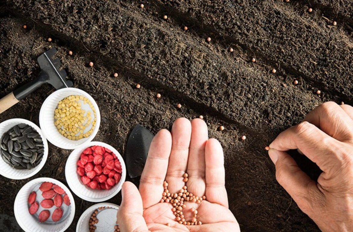 What crops should you be starting for spring? What crops should you be starting for spring?