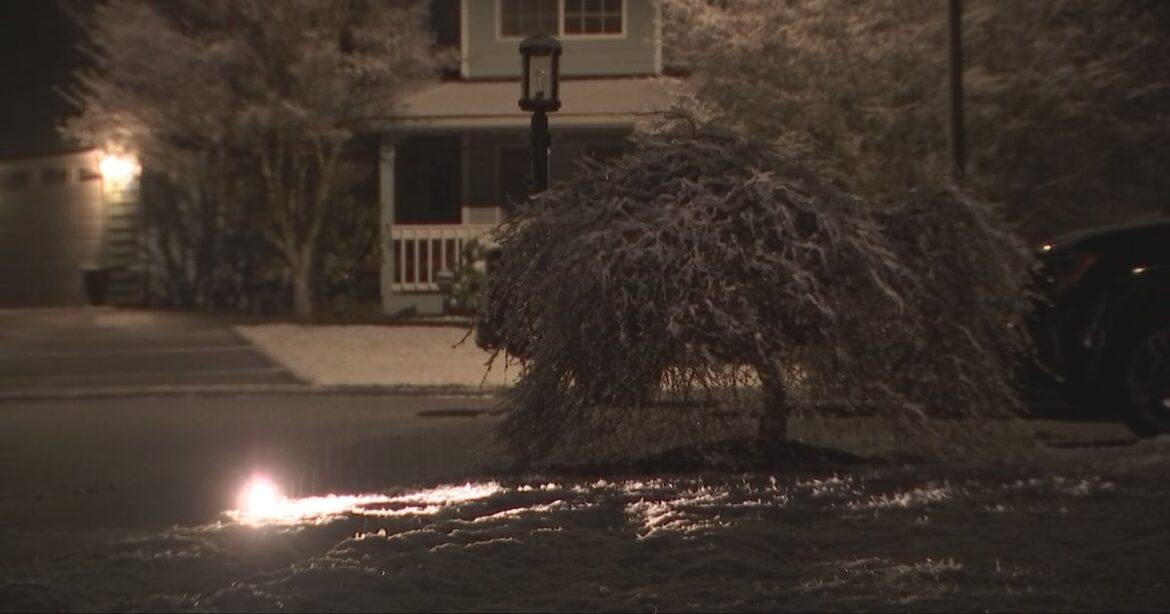 Experts say you need to protect your garden this week – KIRO 7 News Seattle