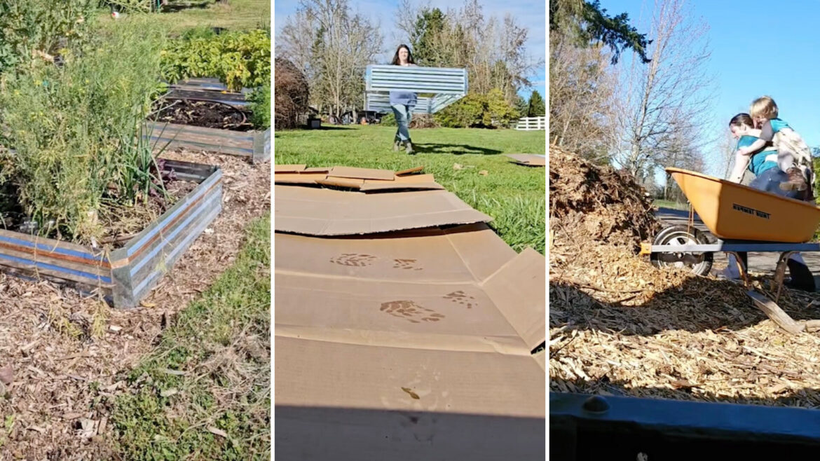 Homeowner shares before-and-after video of stunning garden transformation: ‘Amazing job’ One gardener shared a funny video explaining how her husband's lack of involvement is at the root of her beautiful backyard garden.