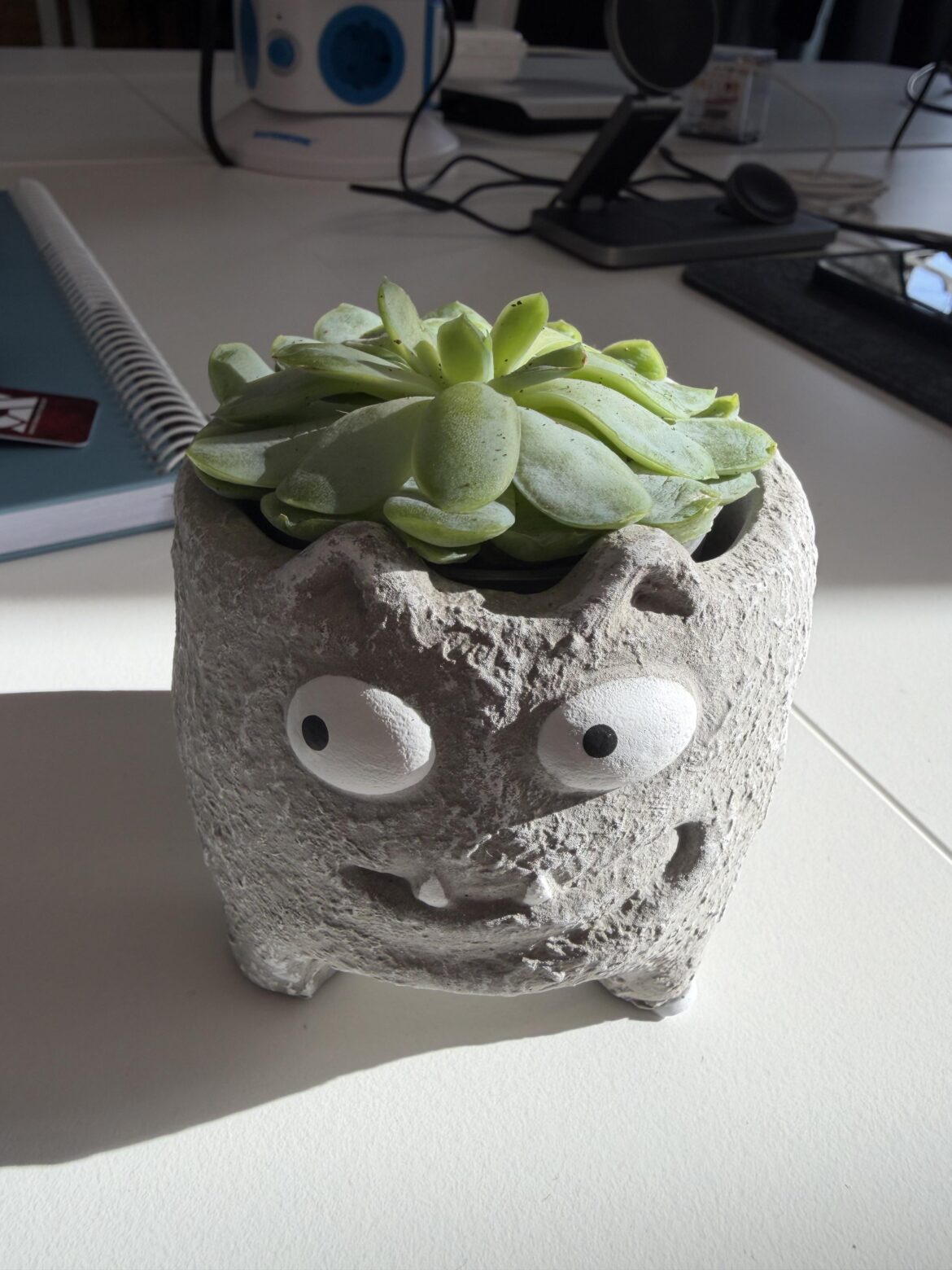 Someone is always lurking on my desk