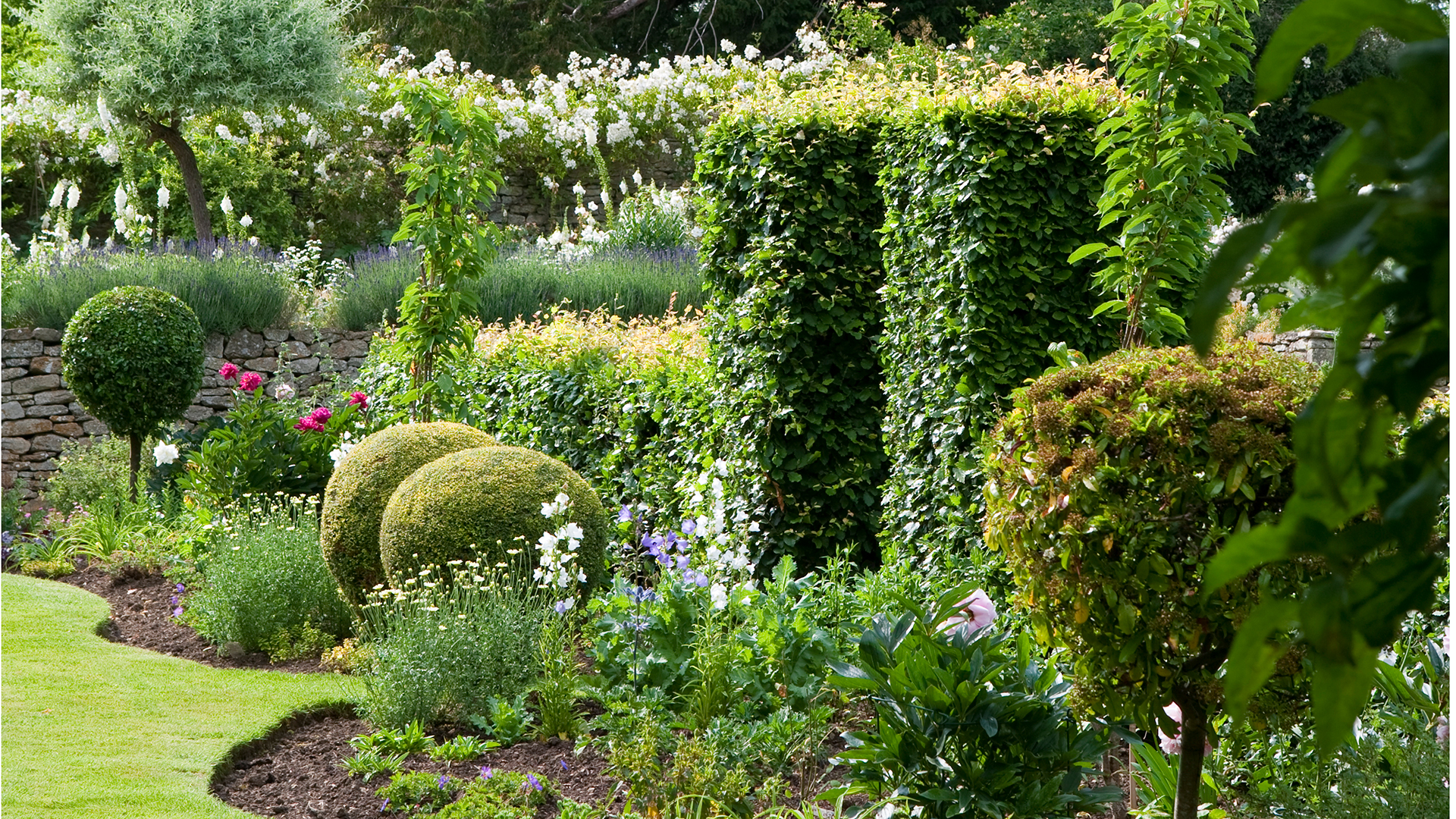 Well landscaped garden with shaped borders and privacy hedges