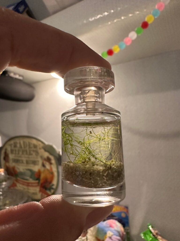 142 day update on my only jarrarium