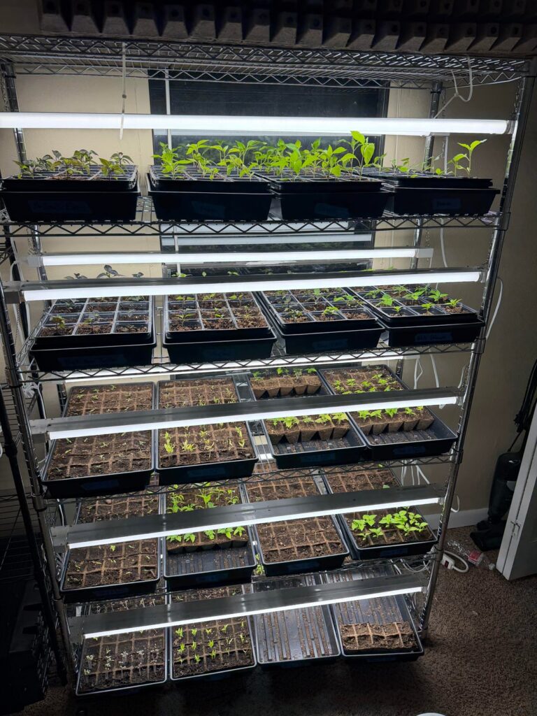 I might have a problem yall 👀👀