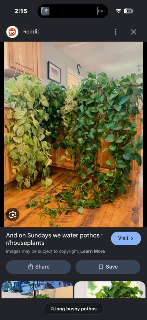 What is the best way to achieve this look?