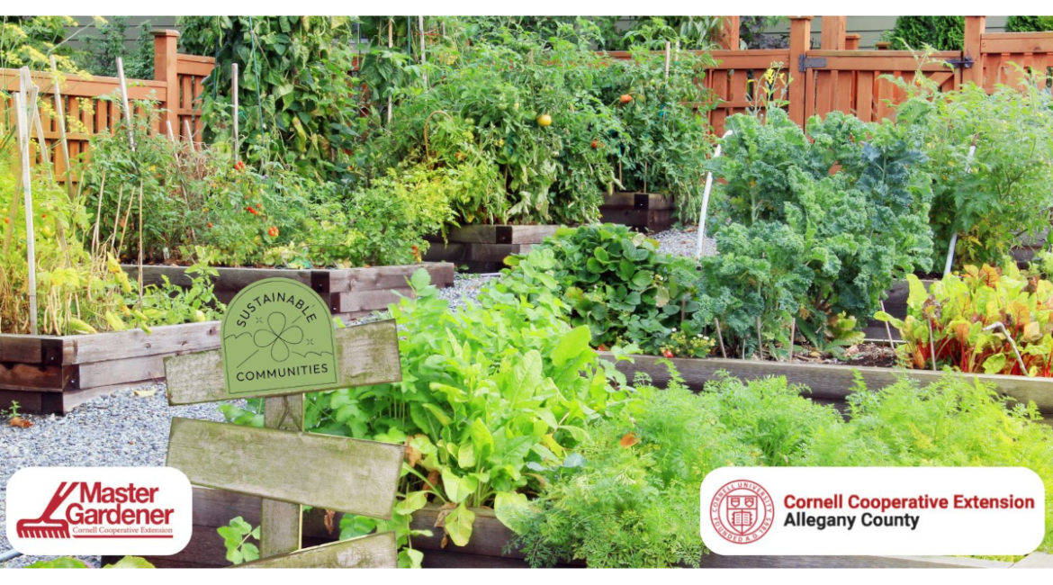 Happy Harvest Garden Club at Almond Library Happy Harvest Garden Club at Almond Library