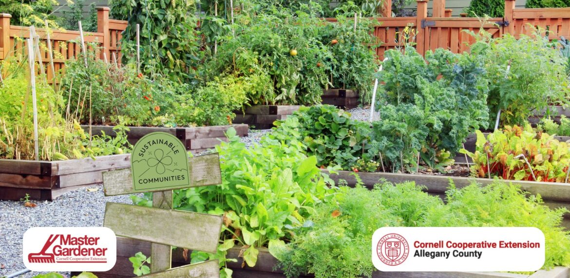 Happy Harvest Garden Club at Almond Library starts March 12, sign up today Happy Harvest Garden Club at Almond Library starts March 12, sign up today