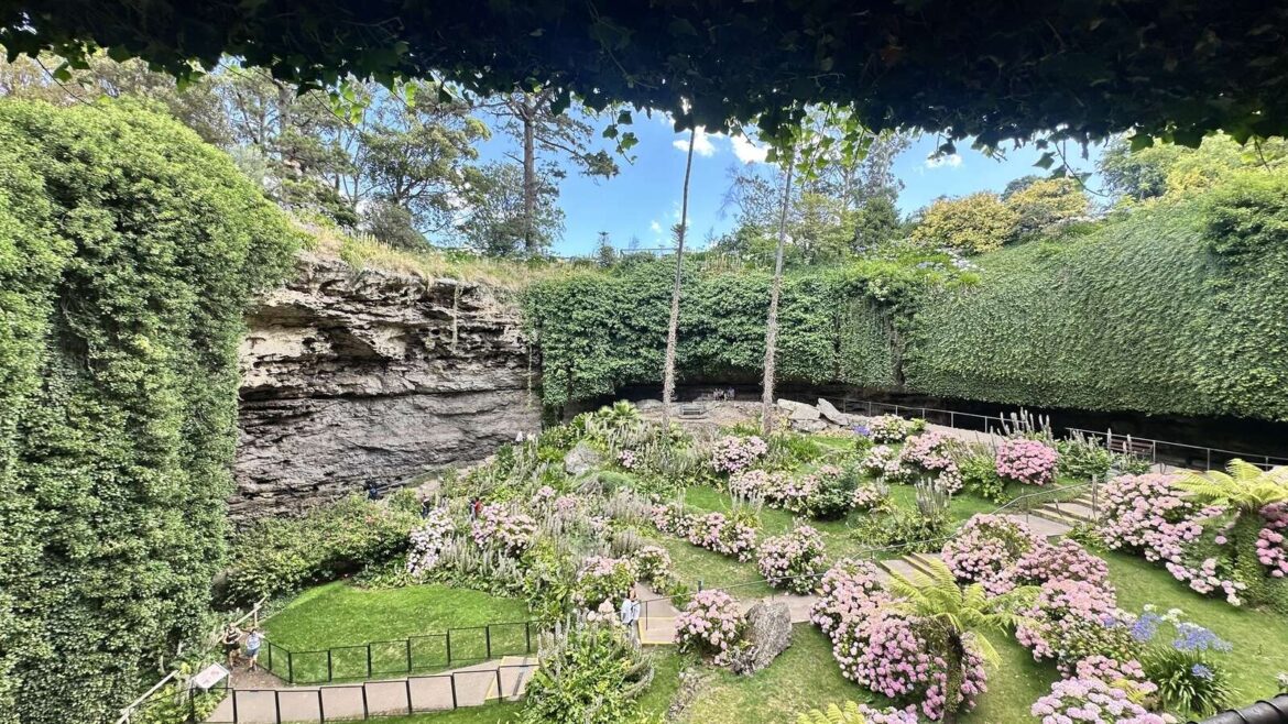 A garden below ground level