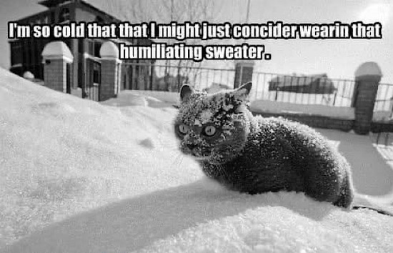 img_0321-1.jpg img_0321-1.jpg