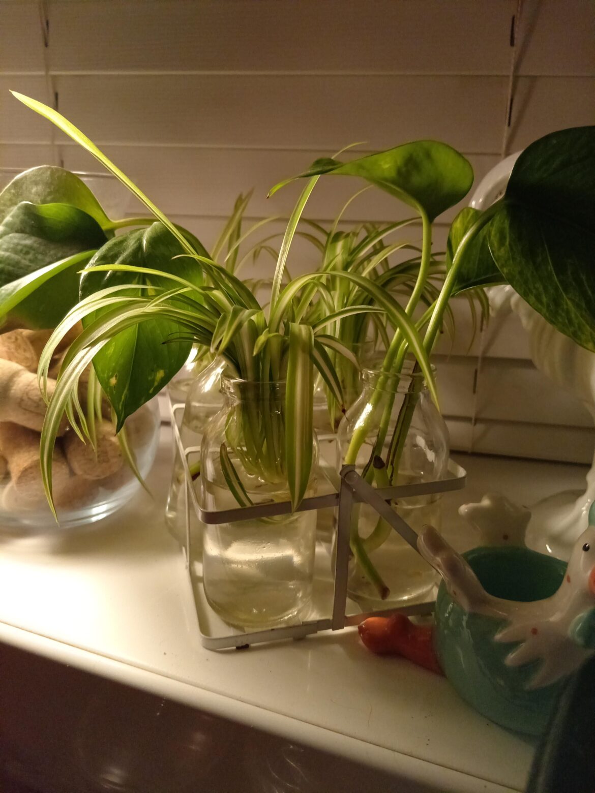 My milk bottle prop stop.