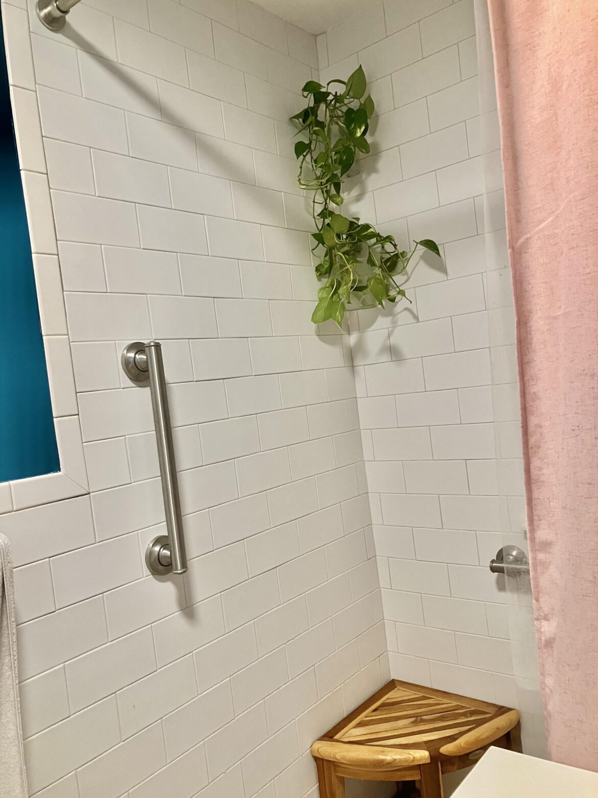 Shower Pothos! DIY plastic vase setup