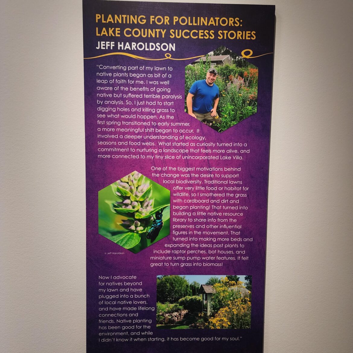 Humble brag - made it to a museum exhibit